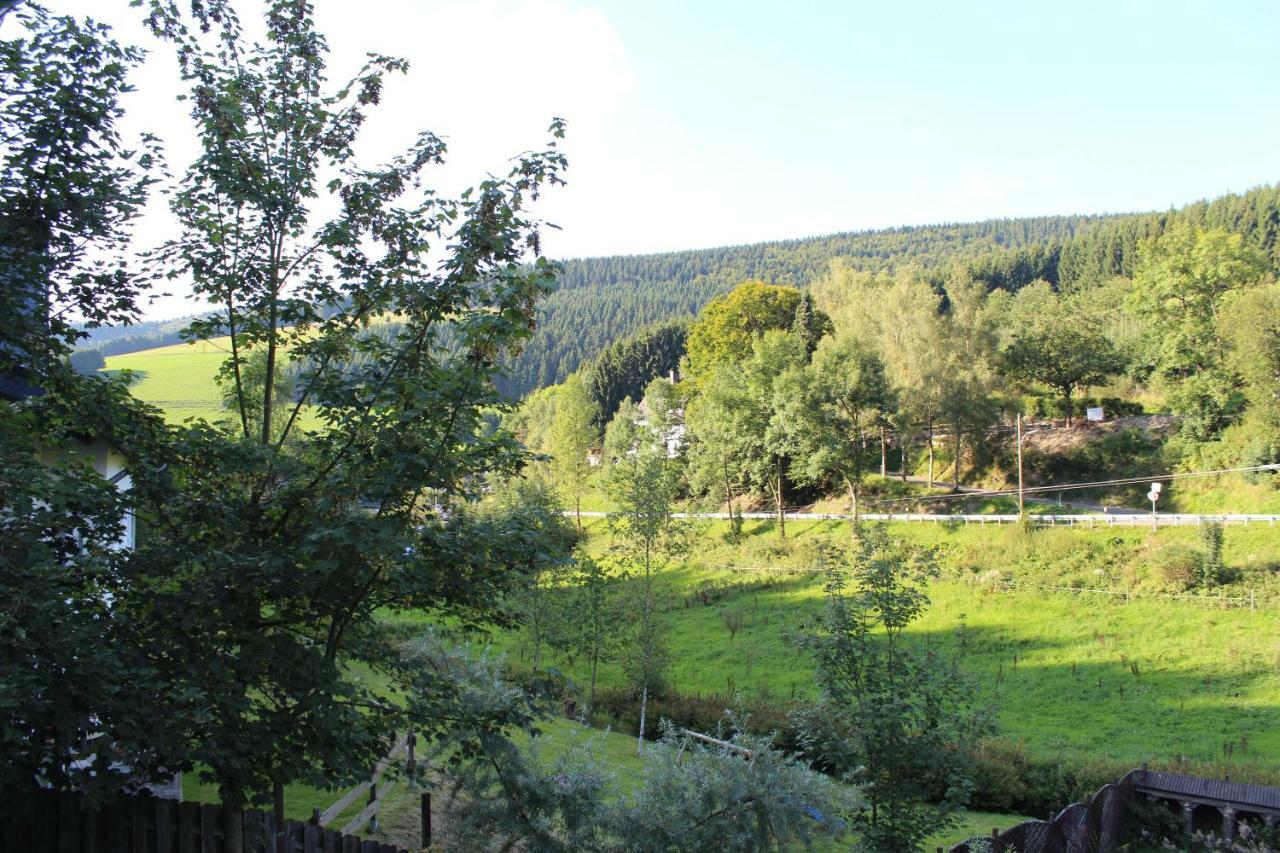 Haus Talblick Βίλα Schmallenberg Εξωτερικό φωτογραφία