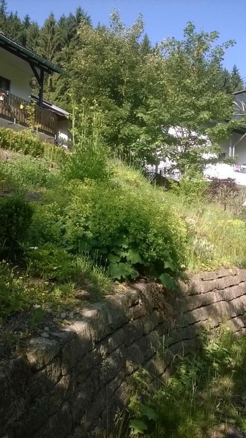 Haus Talblick Βίλα Schmallenberg Εξωτερικό φωτογραφία