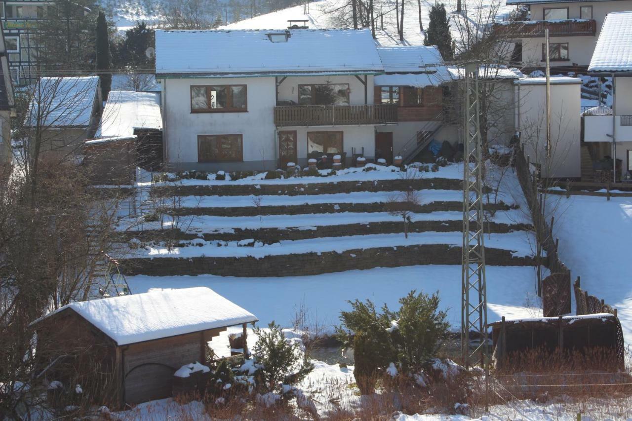 Haus Talblick Βίλα Schmallenberg Εξωτερικό φωτογραφία